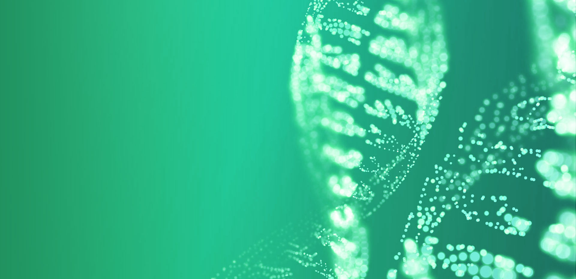 Banner001
